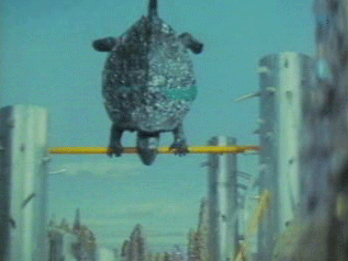 Gif Drole
