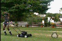 Gif Drole