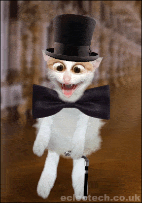 Gif Humour